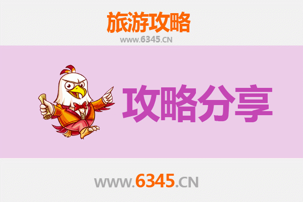 周口项城至湄洲岛旅游攻略：跟团还是自由行深度解析